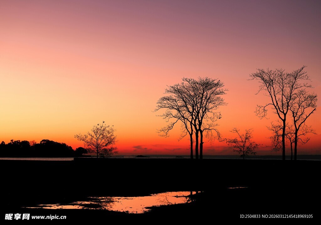 夕阳下的静谧树木与水面