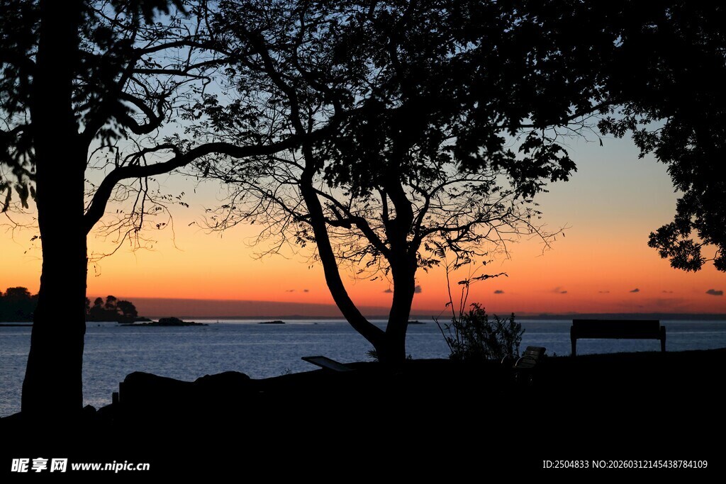 黄昏湖畔树影美景