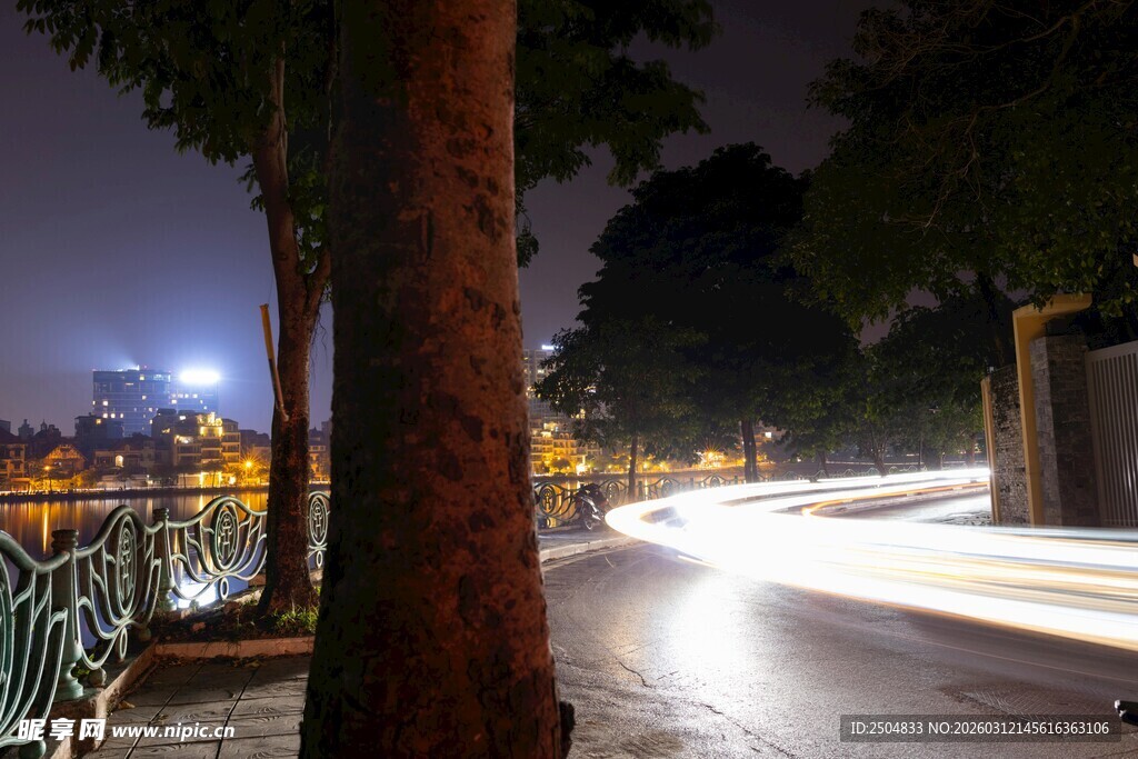 夜晚街道旁的静谧风景