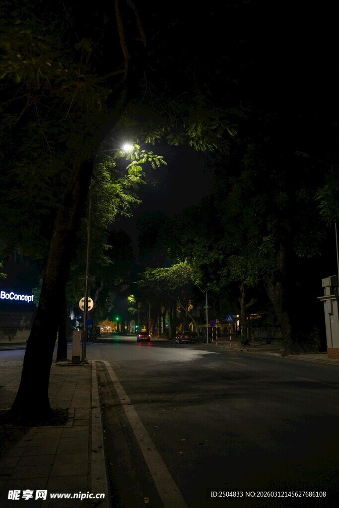 夜晚街道的静谧路灯景象