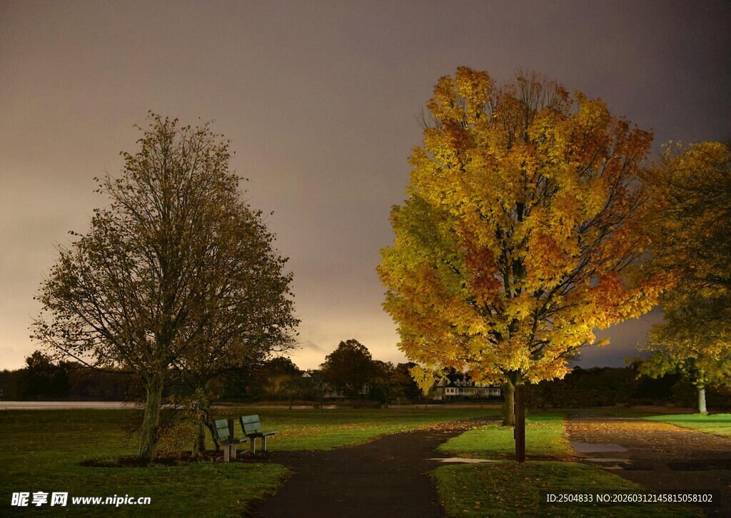 秋夜公园美景