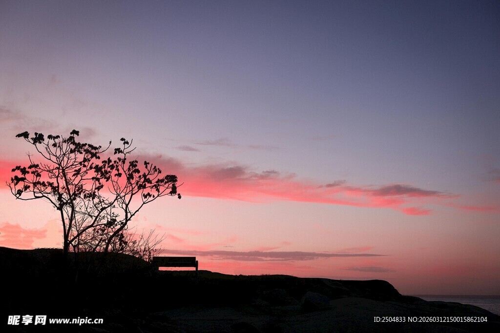 夕阳下的孤树与绚丽天空