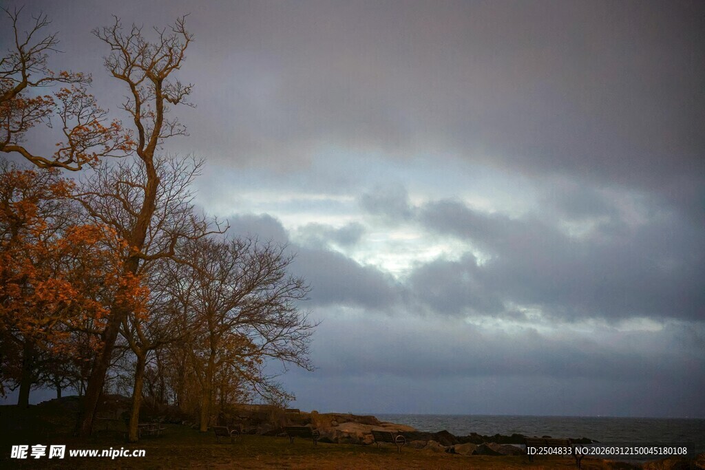 黄昏湖畔孤树与阴云