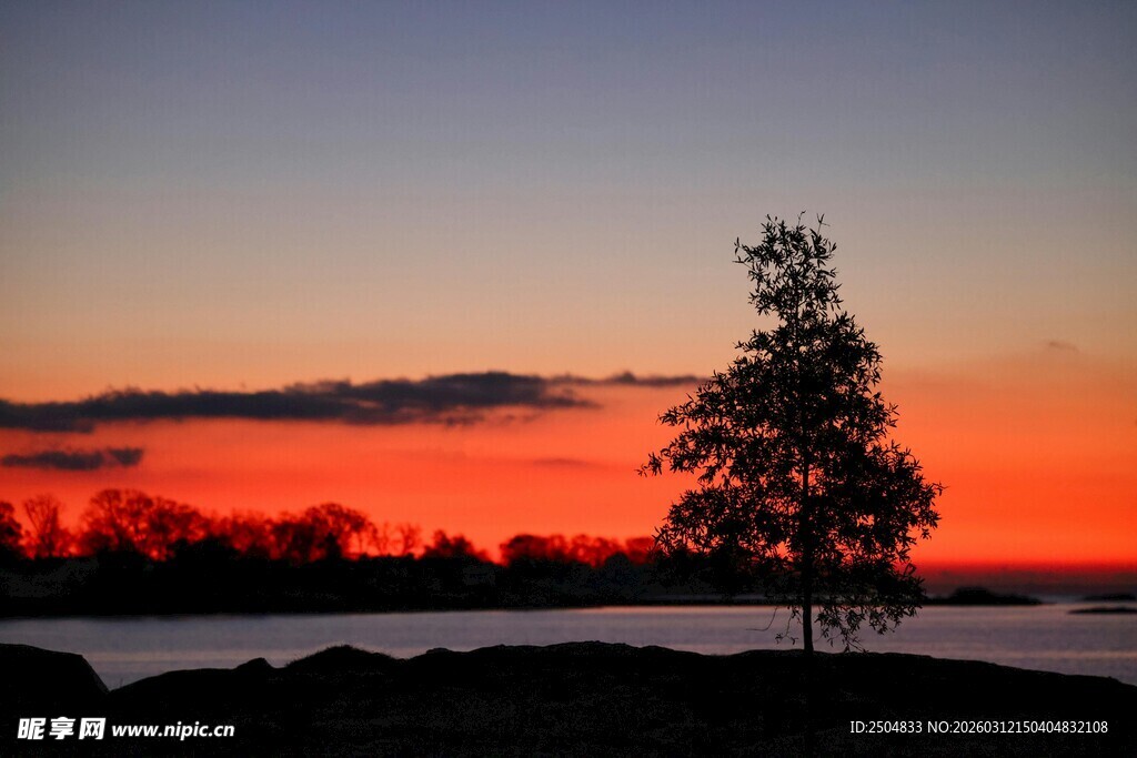 湖畔孤树的绝美黄昏
