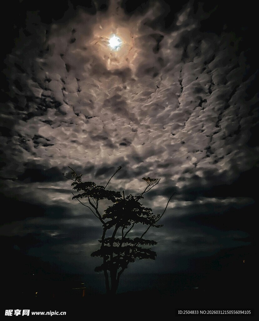 月夜下的电线杆剪影