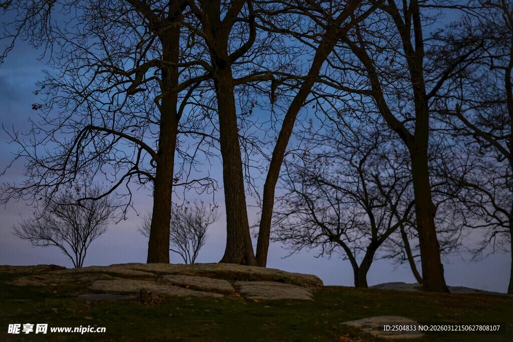 黄昏下的树林与石凳