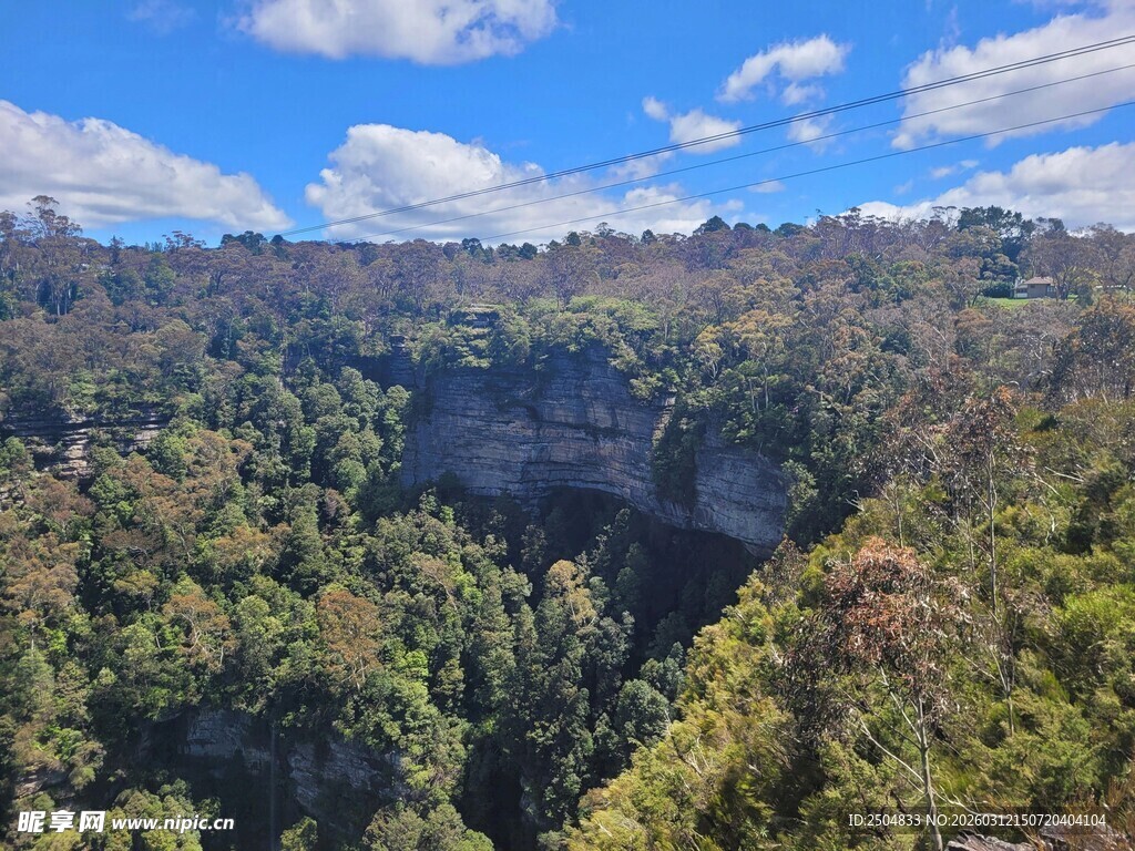 壮丽山谷森林景观