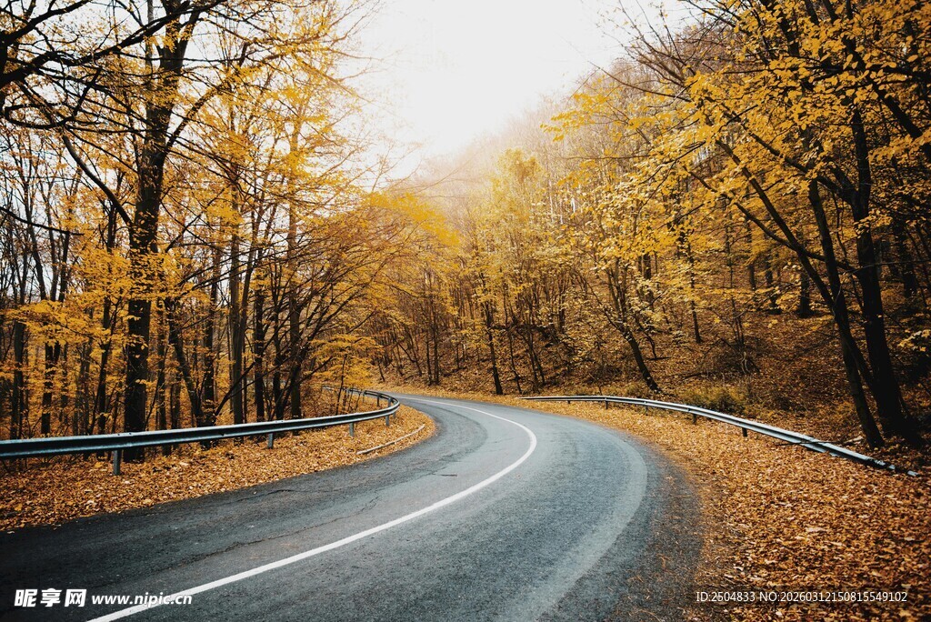 秋日蜿蜒公路美景