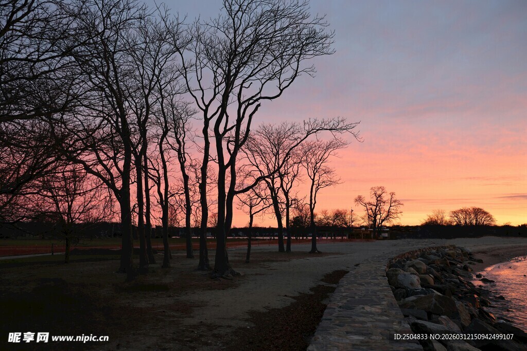 夕阳下的河畔树林美景