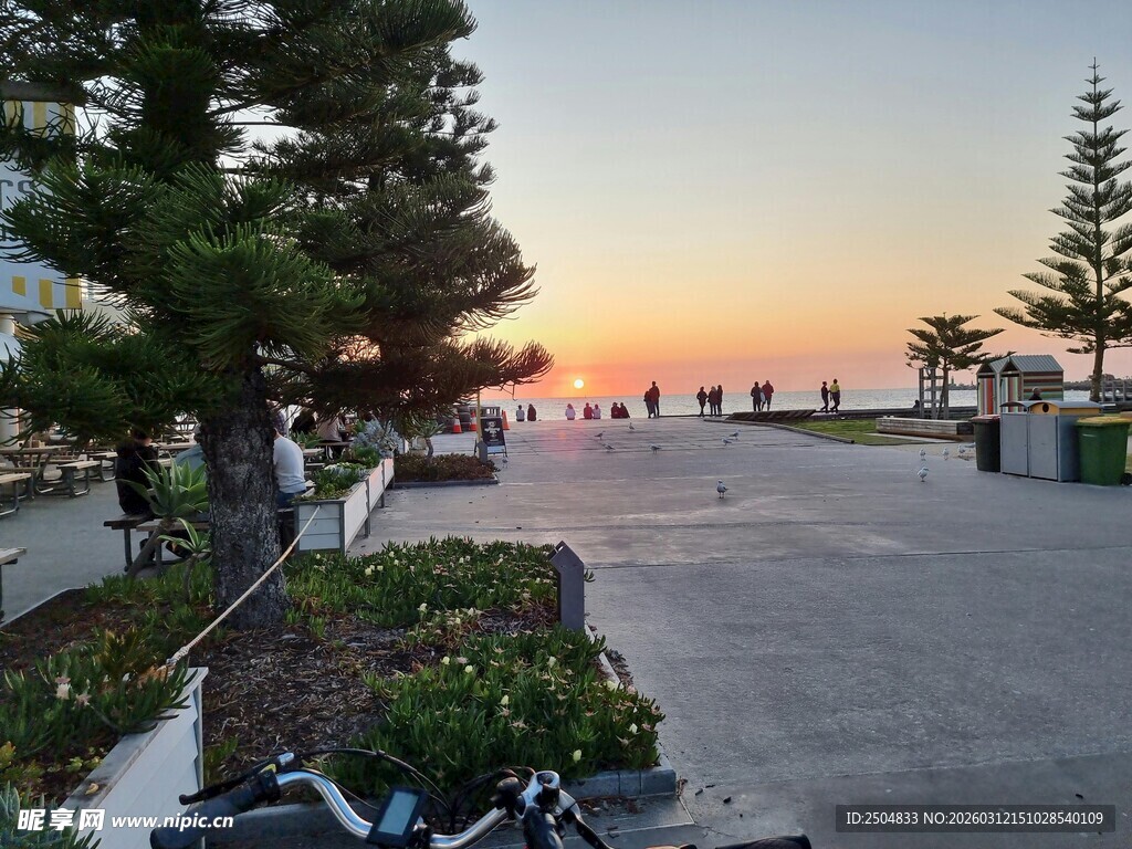 夕阳下的宁静户外道路场景
