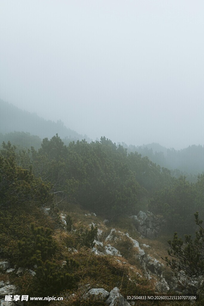 雾中朦胧山林景色