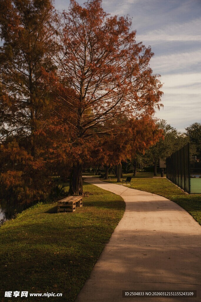 秋日公园小径美景