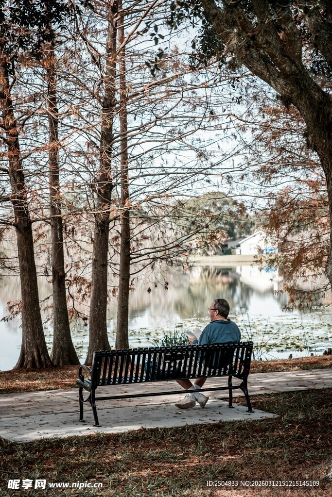长椅上的人享受林间时光