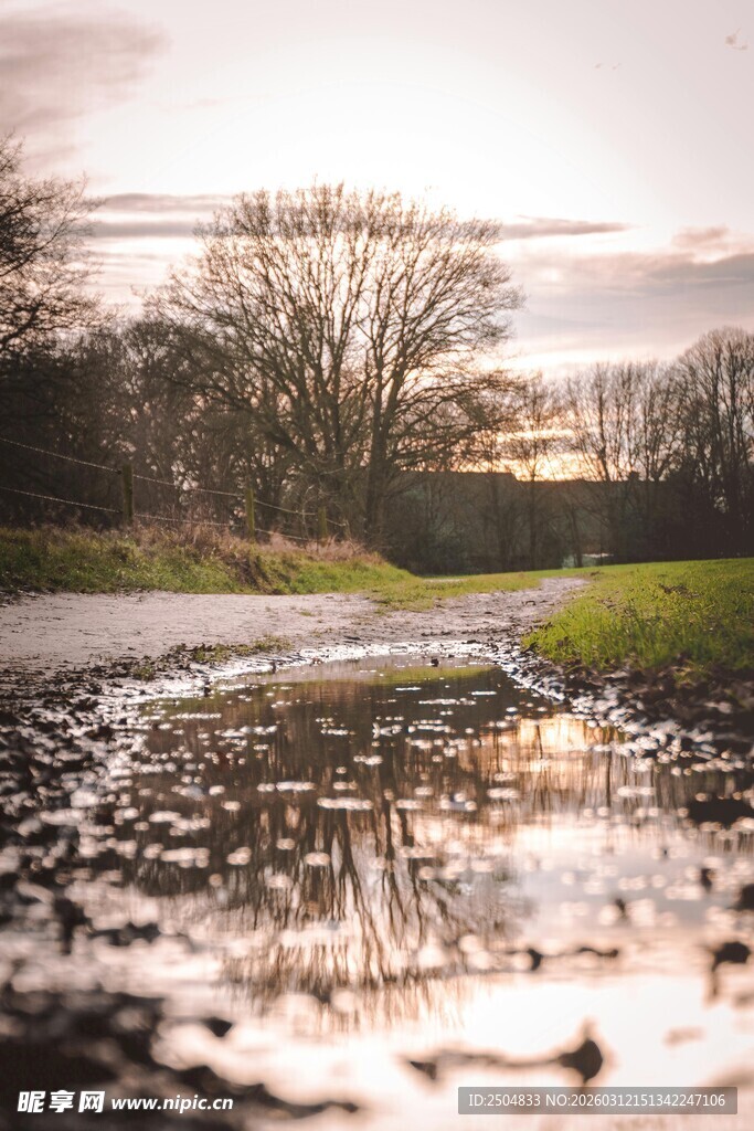 雨后泥泞小路的静谧景象