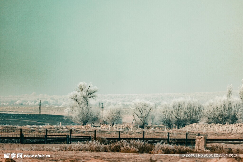 冬日旷野的静谧景致