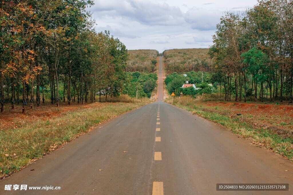 林间延伸的静谧公路