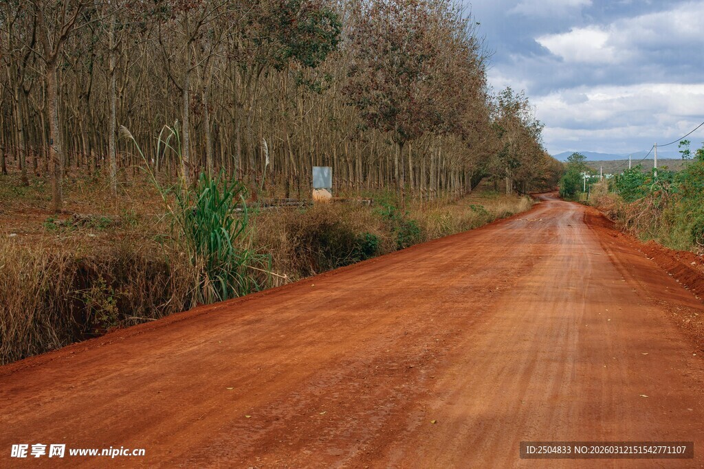 红土林间路