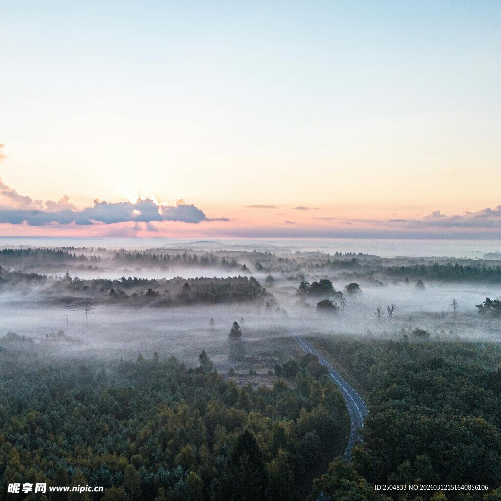 日出下的迷雾森林美景