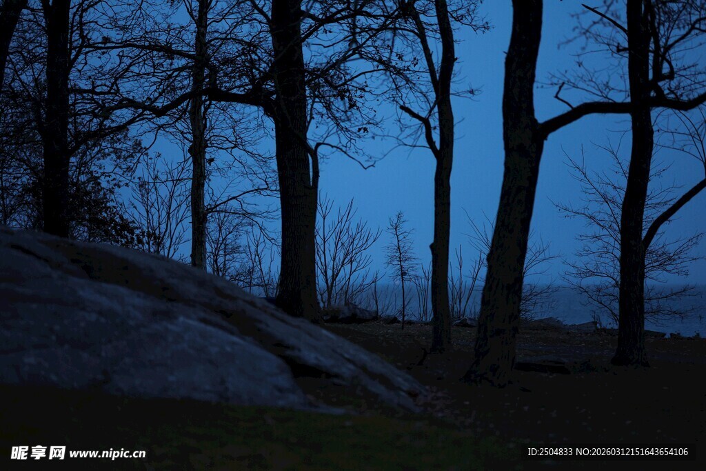 黄昏下的树林与斜坡