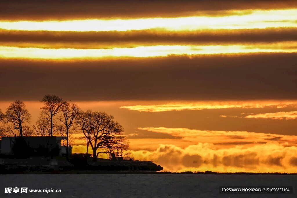 夕阳下的湖畔树木美景