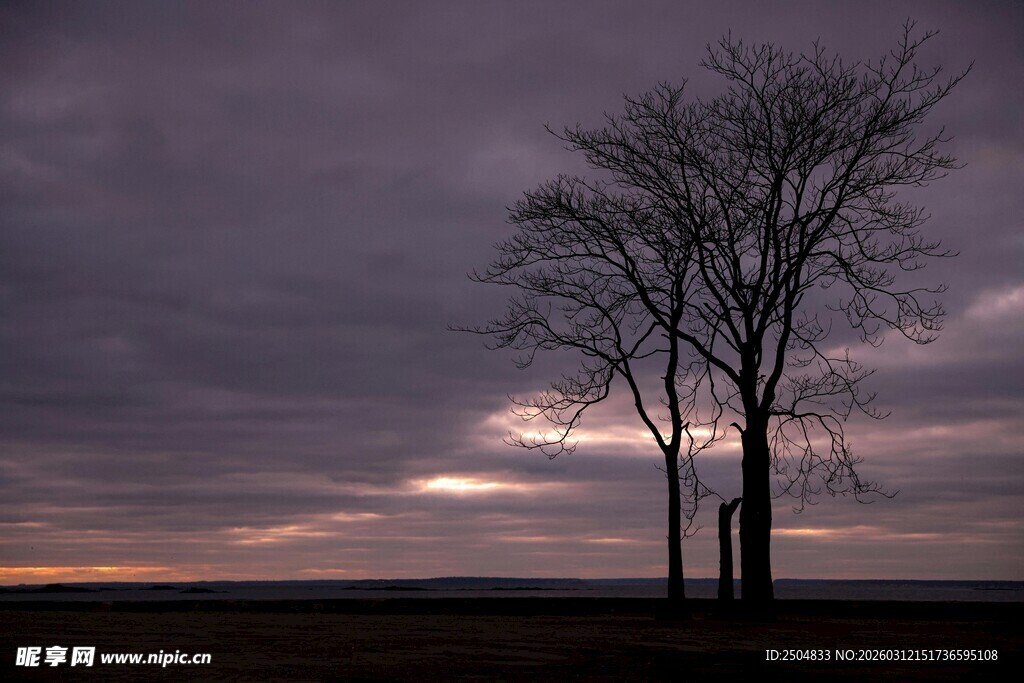 黄昏下的孤树与 沉天空