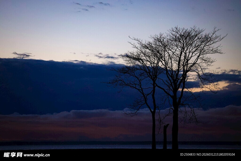 黄昏下的孤树与天空