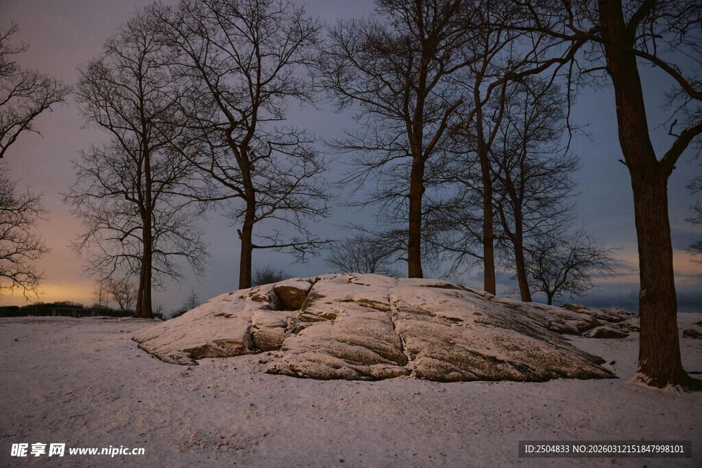 雪后树林中的巨石景观