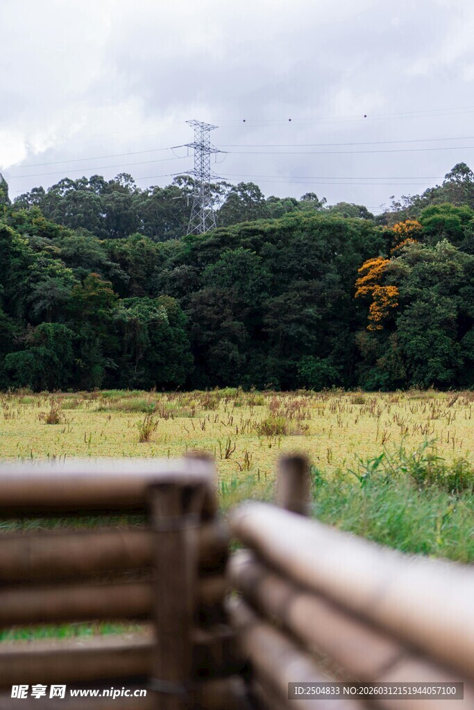 田野木栏边的自然景致