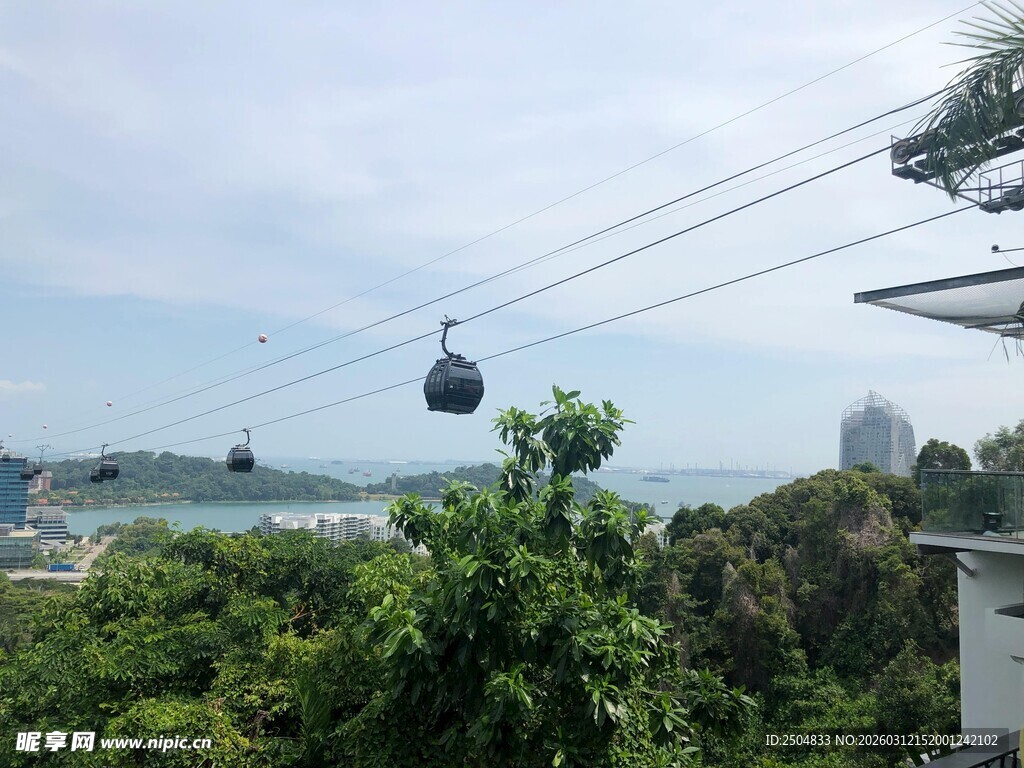 空中缆车穿梭于繁茂绿树间