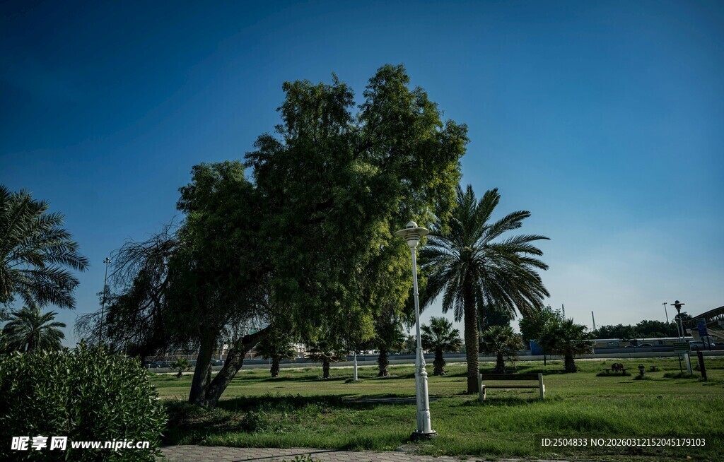 公园绿树蓝天美景