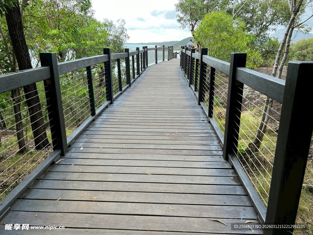 林间木栈道 自然好风光