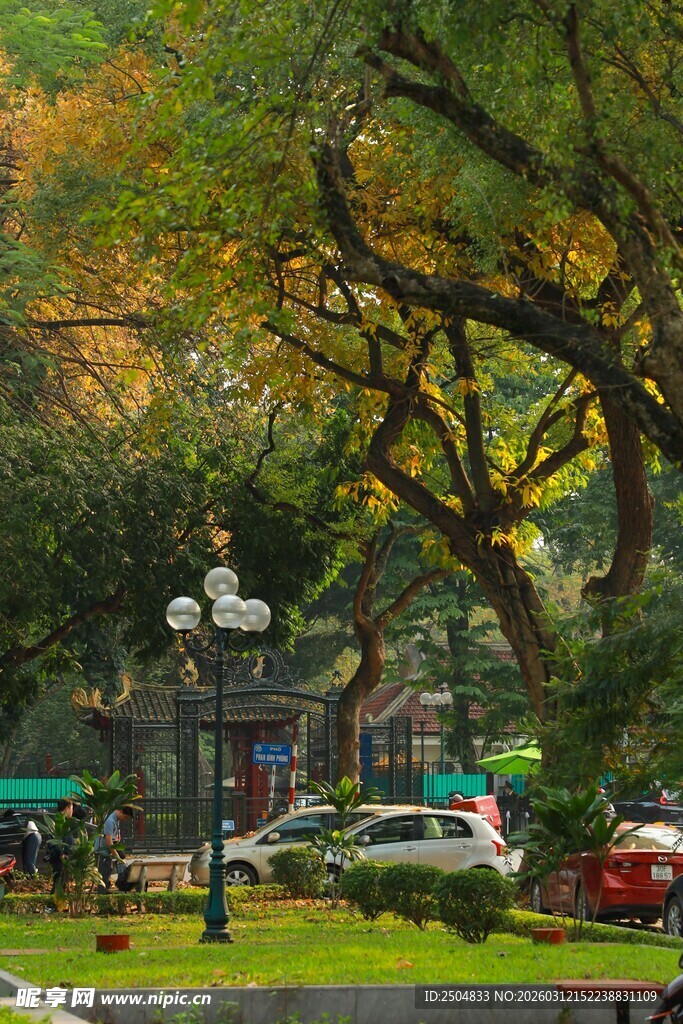 秋日公园静谧景致