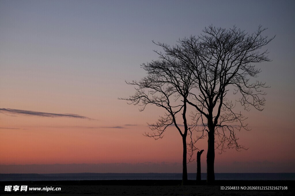 黄昏孤树 静谧旷野之景