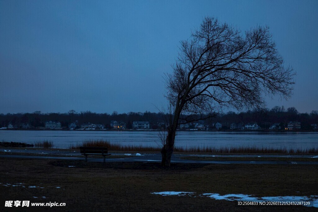 湖畔孤树 暮色中的静谧景象