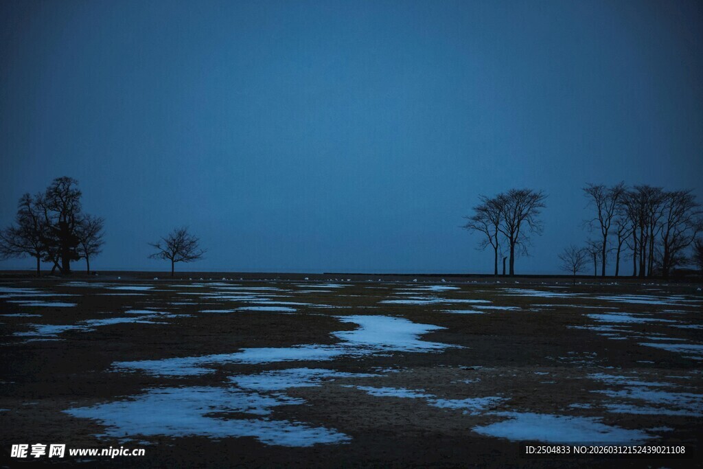 寒夜旷野 残雪与孤树