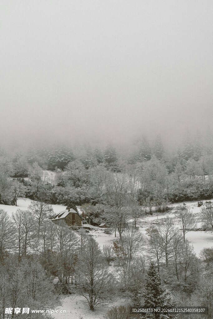 雪覆山林 雾气弥漫之景