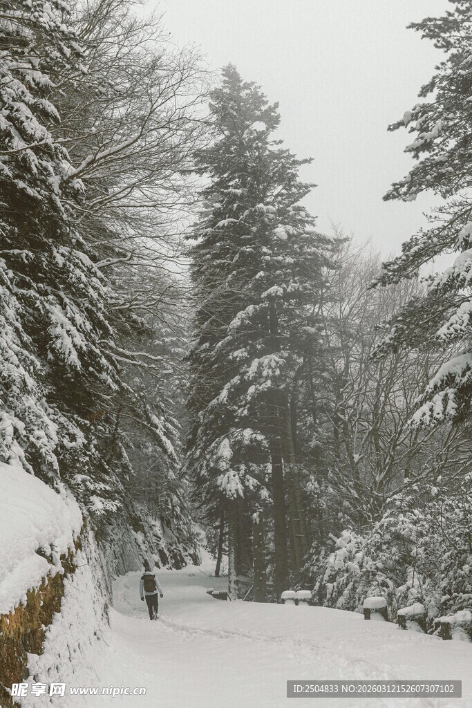 雪覆山林间的静谧雪景