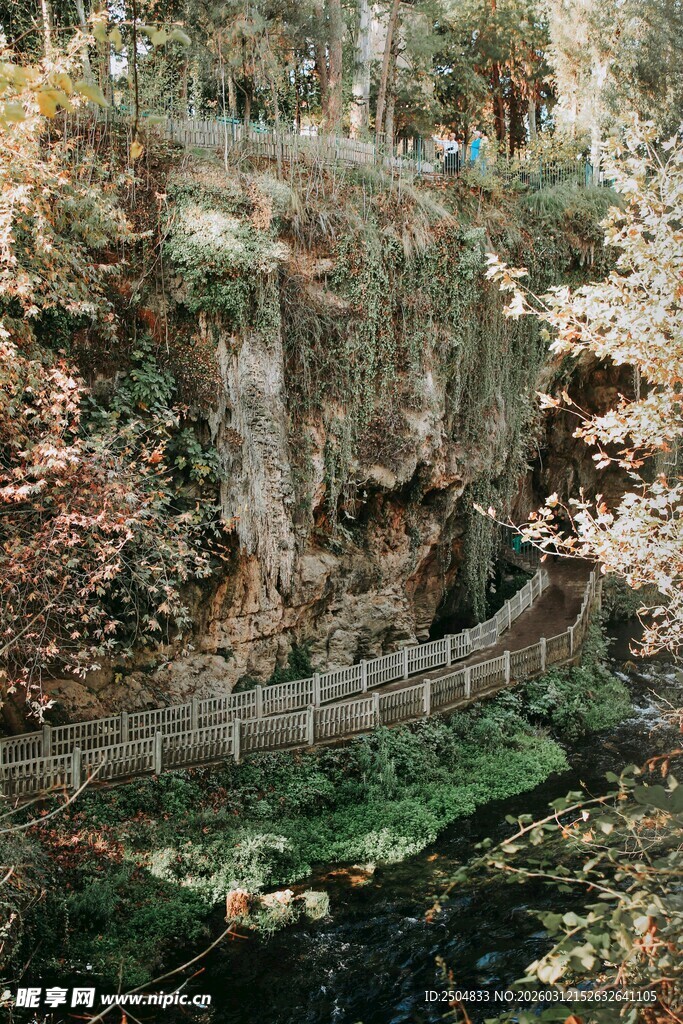 山间幽径旁的岩石与植被
