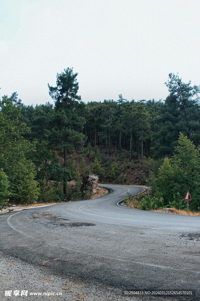 蜿蜒林间公路