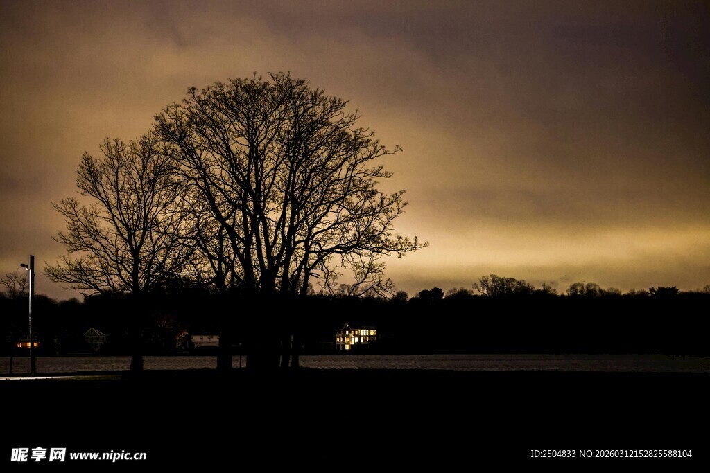 黄昏下的孤树剪影