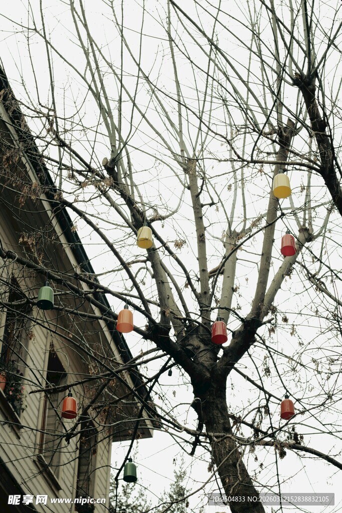 冬日挂饰树 古朴建筑相伴