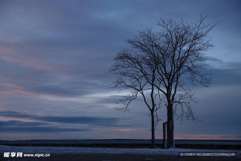 黄昏下的孤树与天空