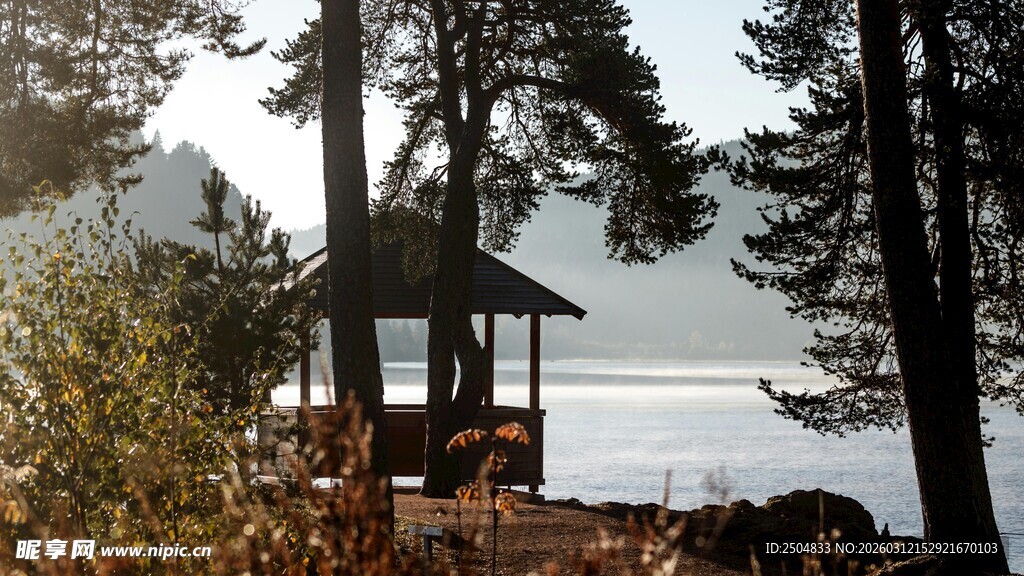 湖畔林间凉亭静谧景致