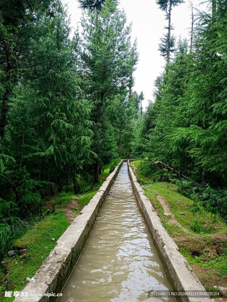 林间蜿蜒的灌溉水渠