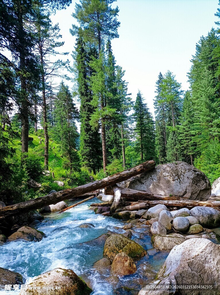 山间溪流上的木桥风景