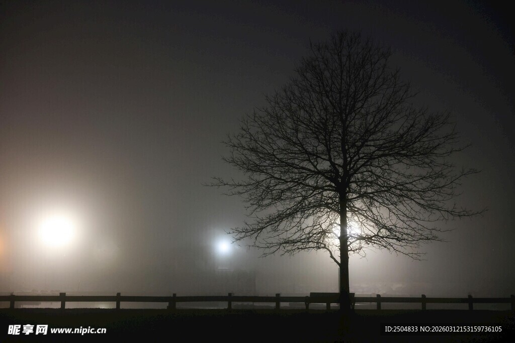 夜中孤树与朦胧灯光