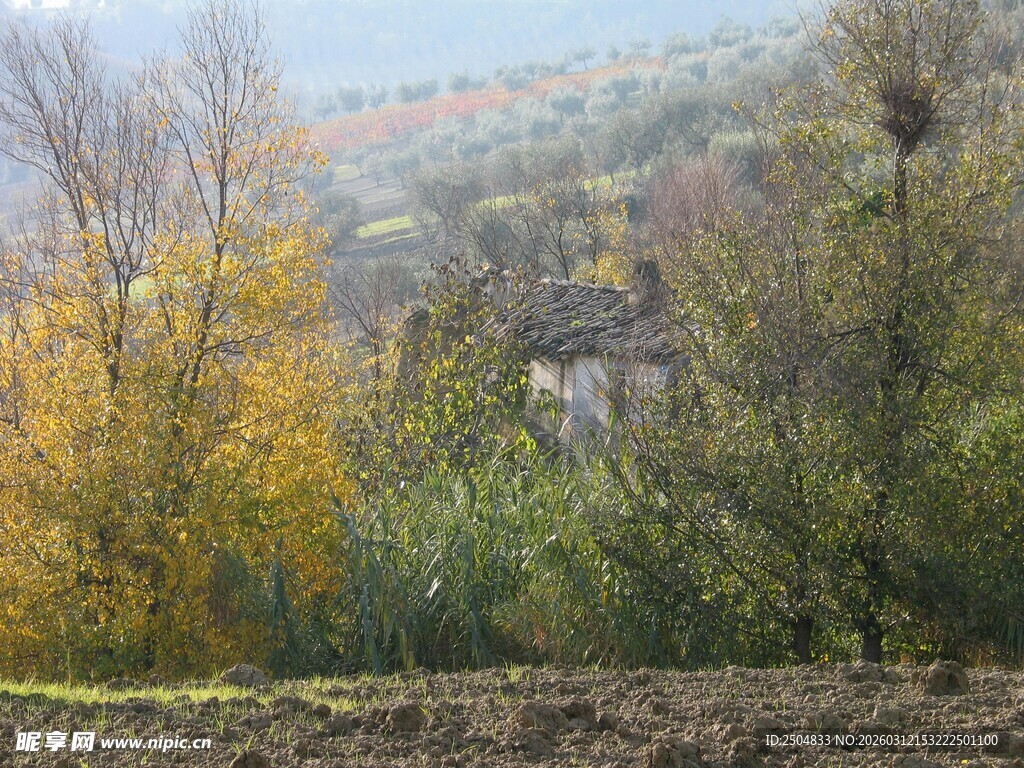 秋日山林田野风光