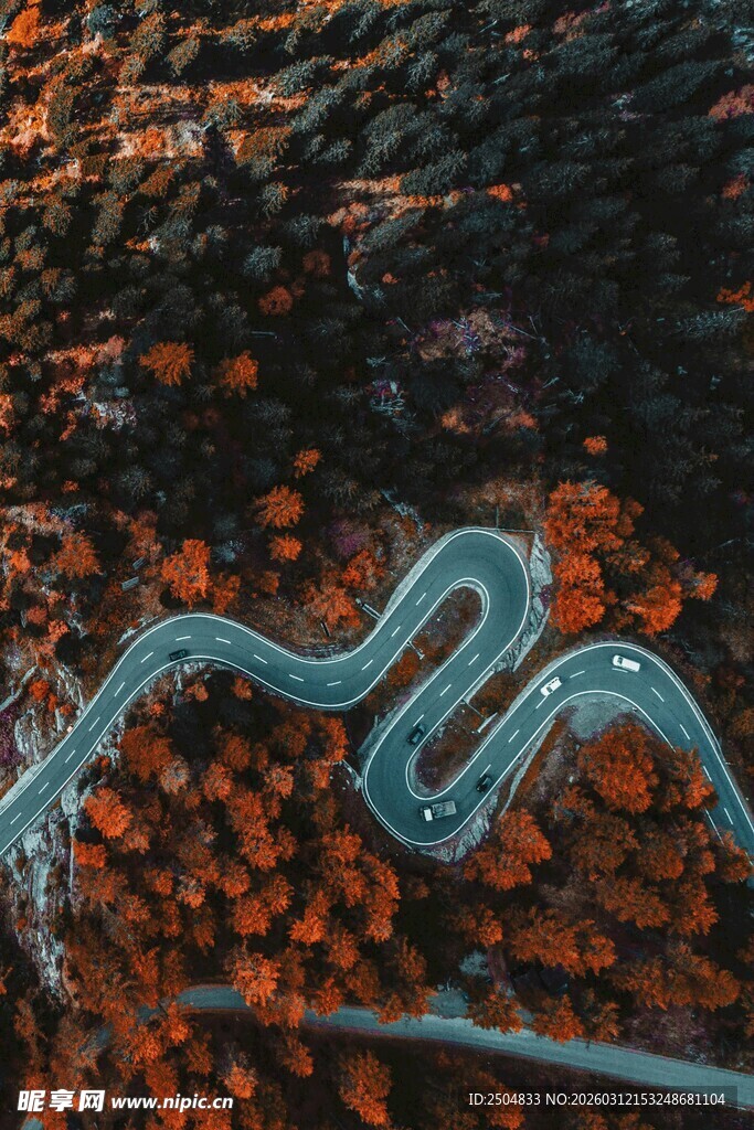 蜿蜒山路穿梭于斑斓秋色间