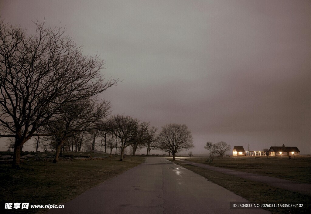 雾霭中的静谧乡间小路