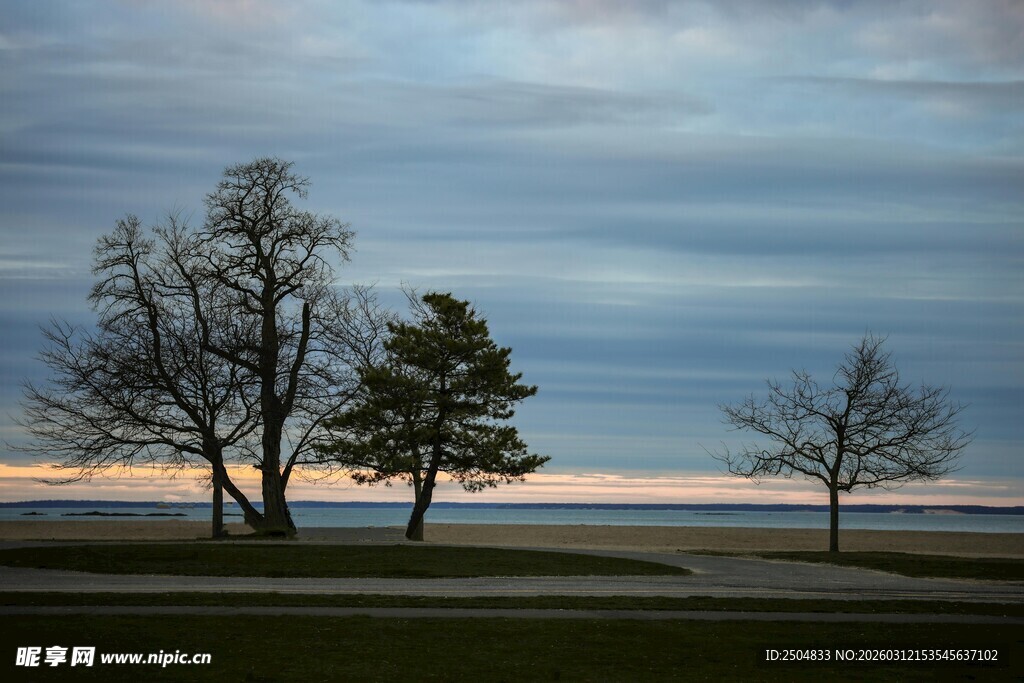 湖畔枯树与黄昏天空